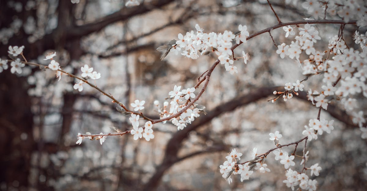 découvrez le voyage fascinant de l'éveil artistique, une exploration de la créativité et de l'inspiration. plongez dans des réflexions sur l'art, l'imagination et la transformation personnelle.