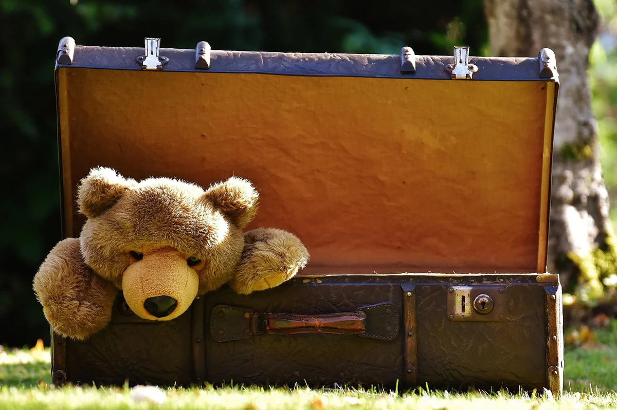 valise