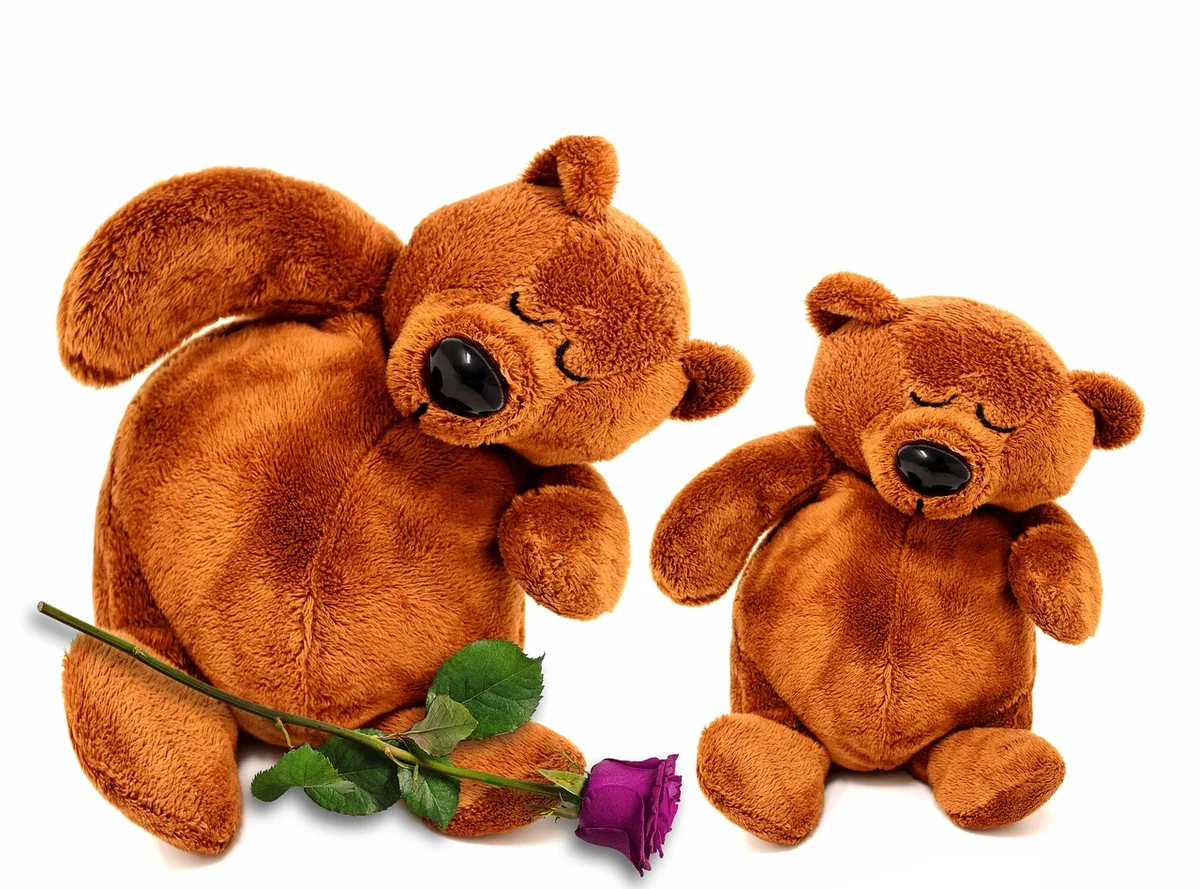 nounours