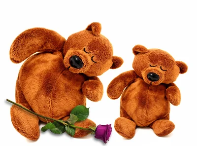nounours